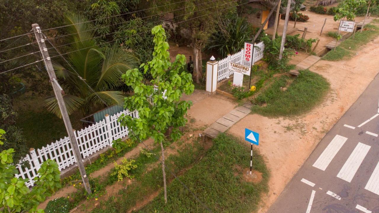 Tamarind Tamarind Resort, Tourist Board Approved 하바라나 외부 사진