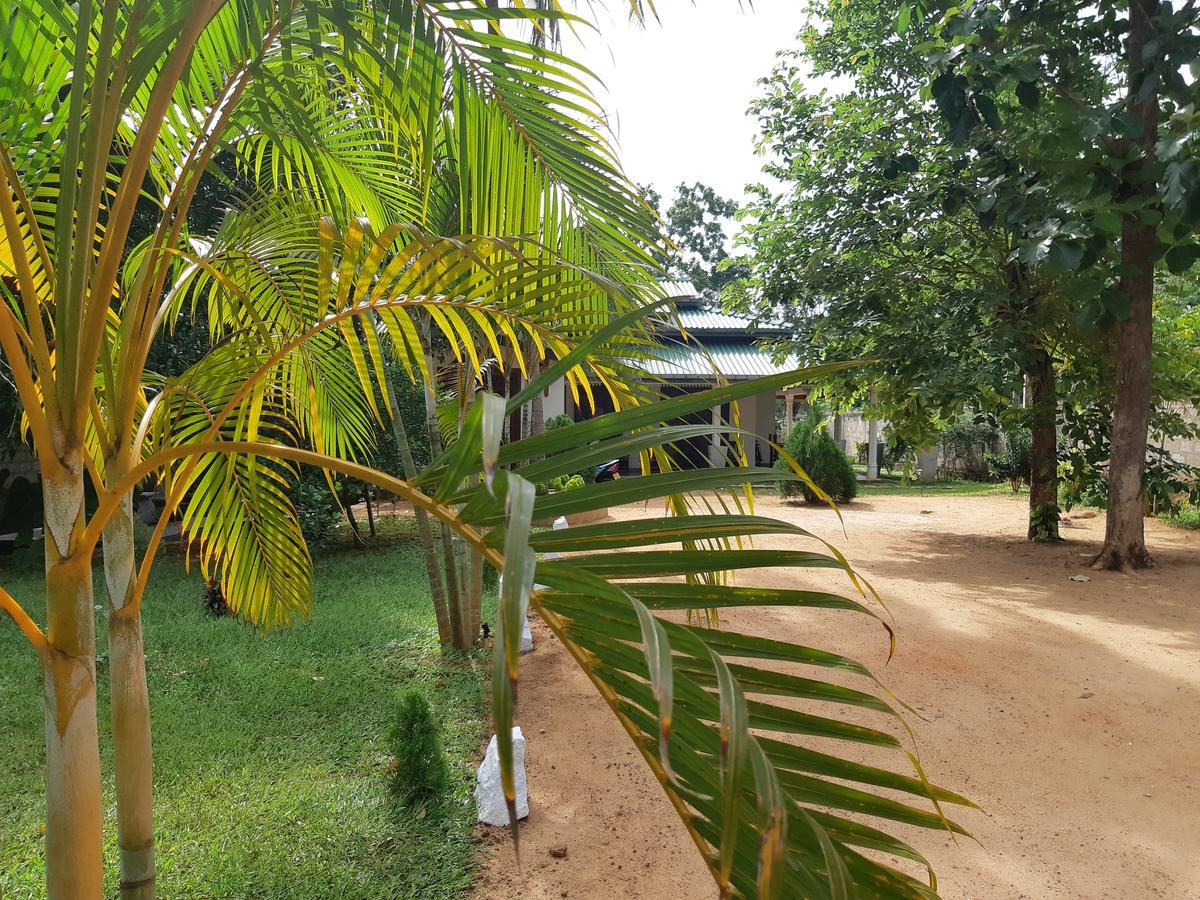 Tamarind Tamarind Resort, Tourist Board Approved 하바라나 외부 사진